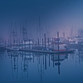 Foggy Bay Front